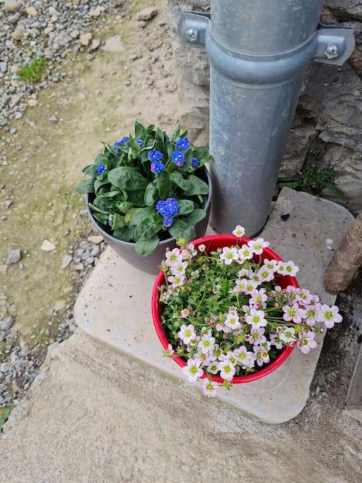 Appartement De La Laiterie Avec Petit Jardin. Eysus Exterior foto